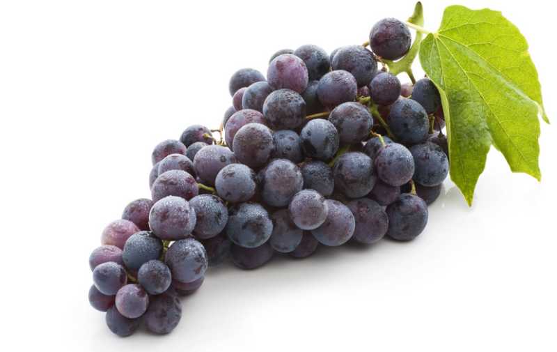 Uvas americanas